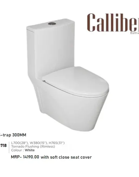 C718 One Piece Toilet Seat