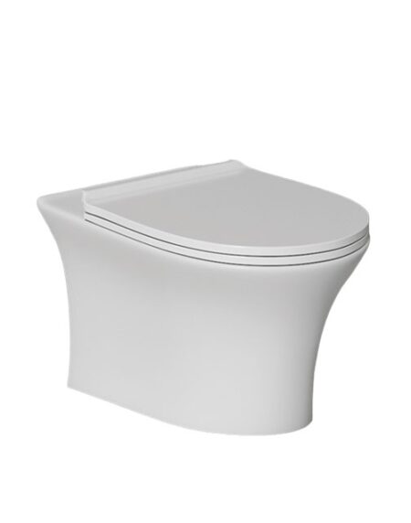 C800 Back To Wall Ewc Seat